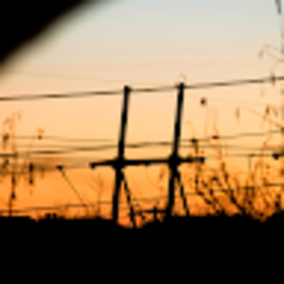 Meet your Posher, Alex - Picture 1 of 1